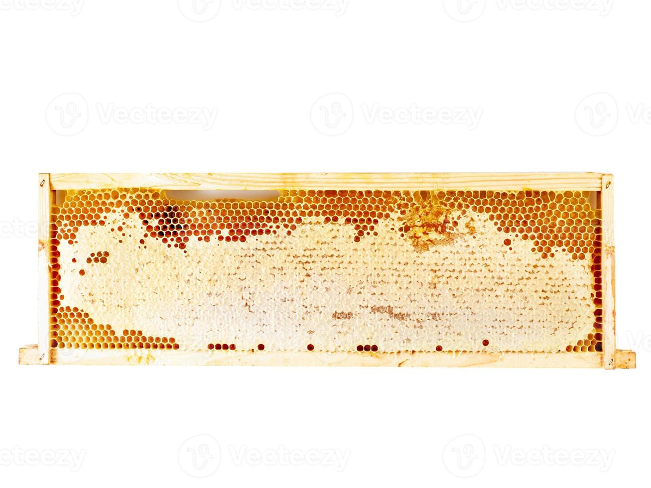 primer plano de panal de abeja, miel dulce goteante fibrosa fresca, aislado, fondo blanco, vista superior foto