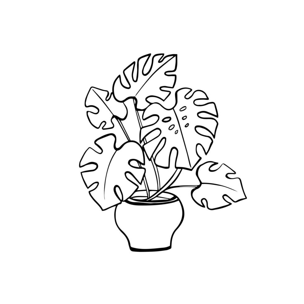 flor de monstera interior en una maceta. boceto, el contorno de una planta en un estilo de garabato dibujado a mano. vector