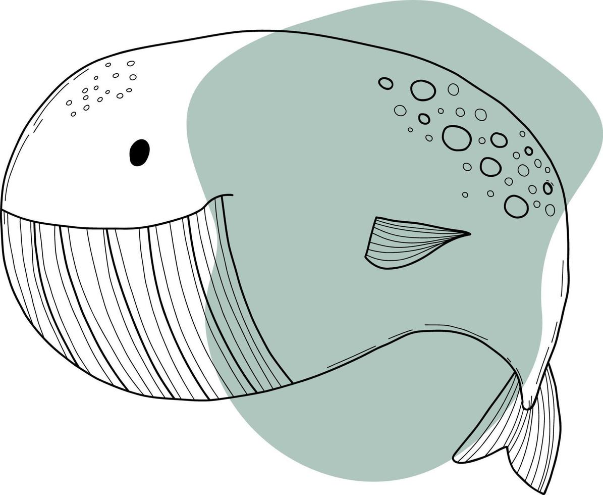 Cute big whale. Vector illustration.Linear doodle element for design and decor.