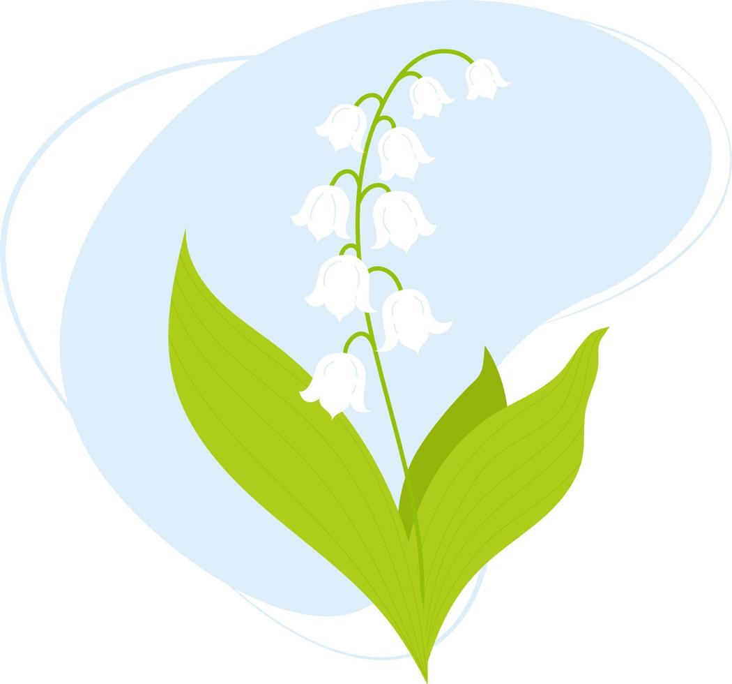 Beautiful May lily of valley with leaves. Vector illustration for design, postcards, decor and decoration, print