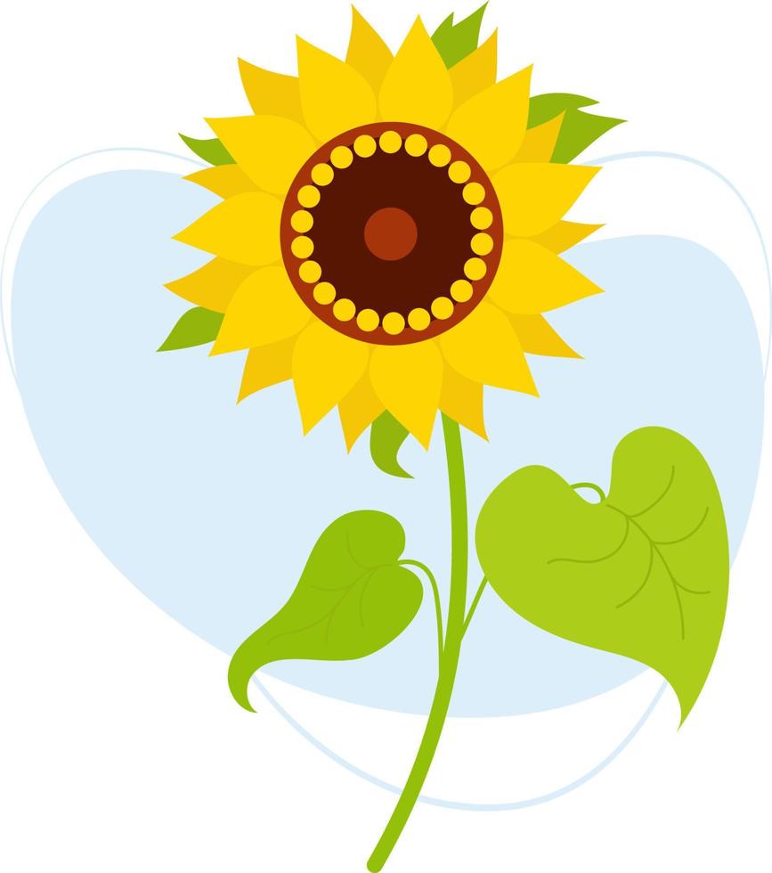 blooming sunflower. Beautiful flowering plant with leaves. Vector illustration. trendy plant For design, decor and decoration