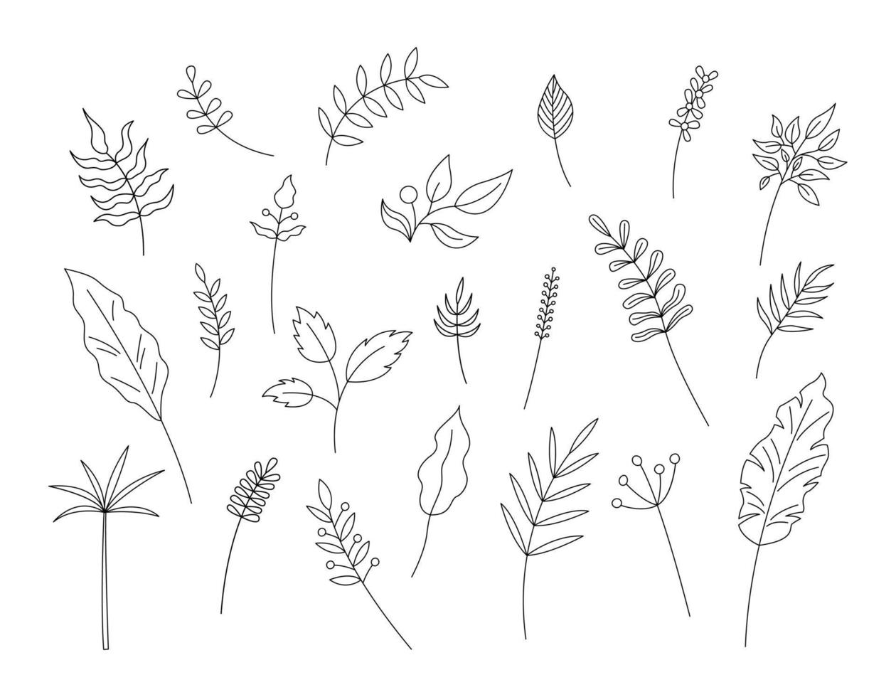 hojas de contorno aisladas. conjunto vectorial de elementos decorativos vegetales sobre fondo blanco. objetos de línea simples dibujados a mano para diseños florales vector