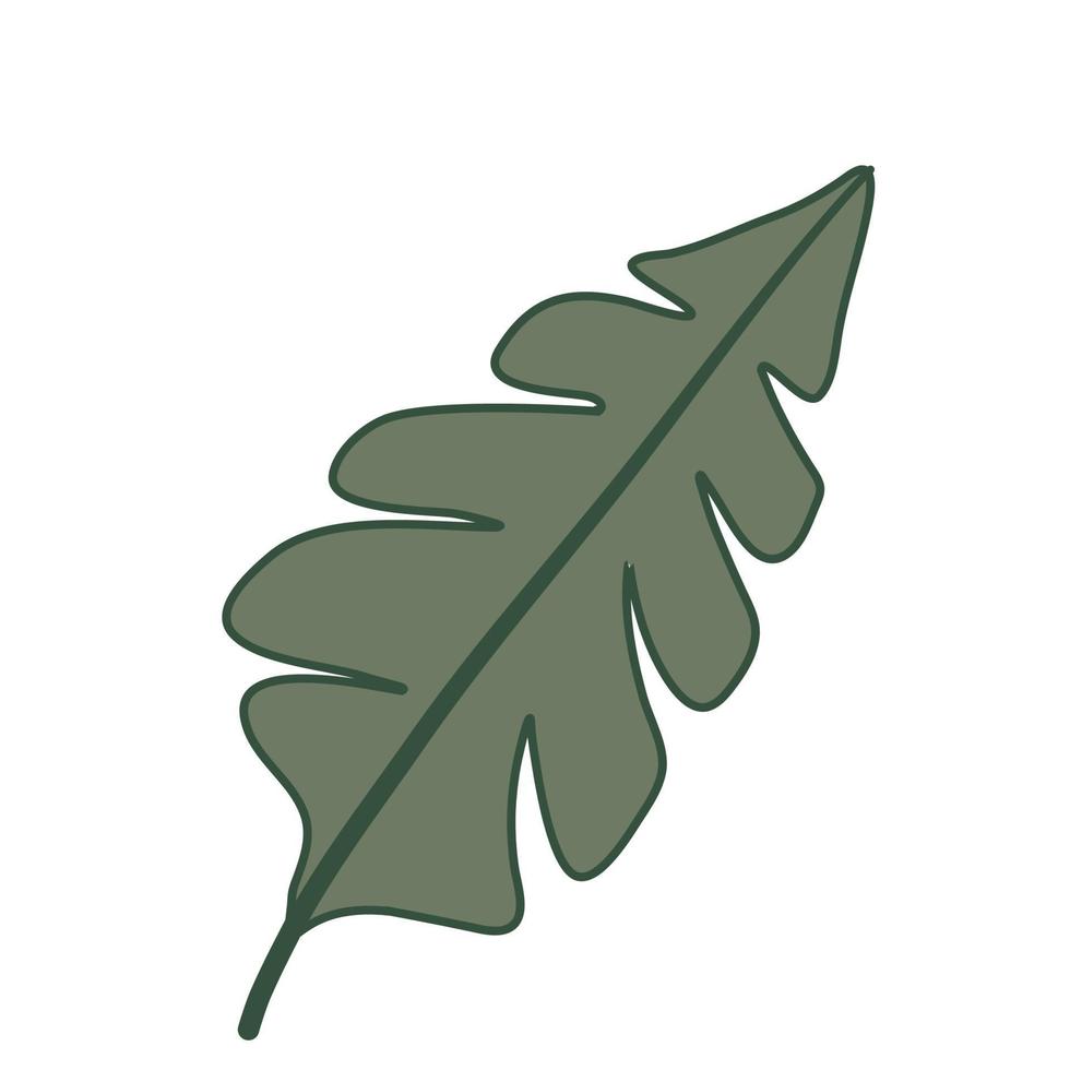Tropical leaves vector for banana leaf style 2
