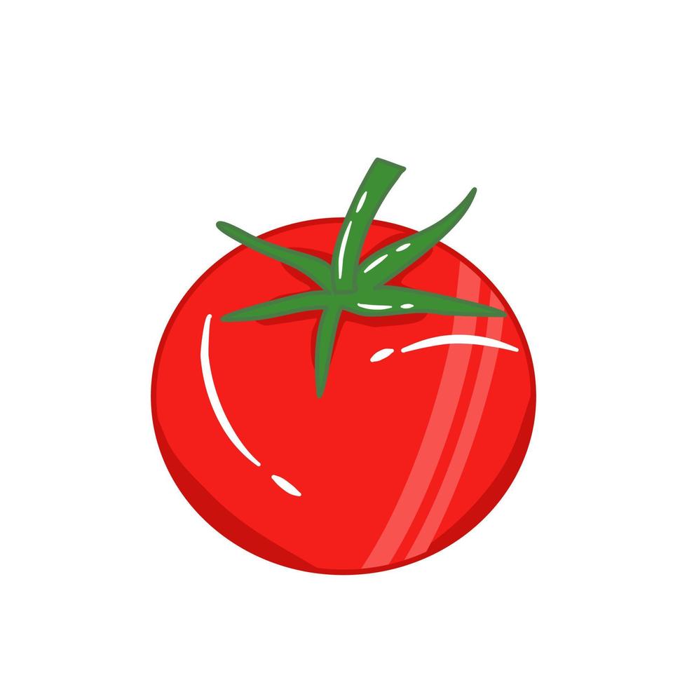 vector de tomate vegetal lindo