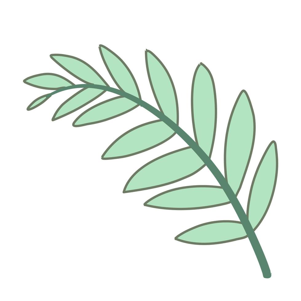 Tropical leaves vector for royal fern leaf