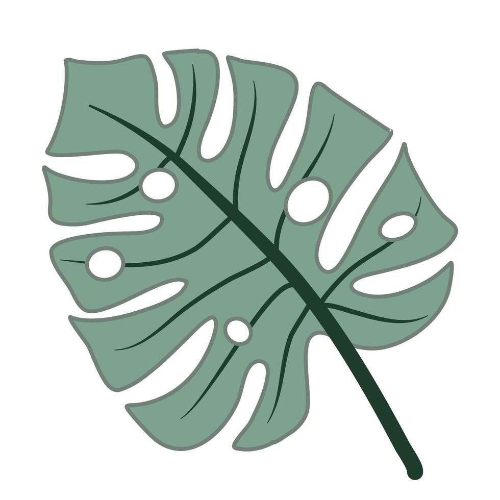 Tropical leaves vector for monstera leaf