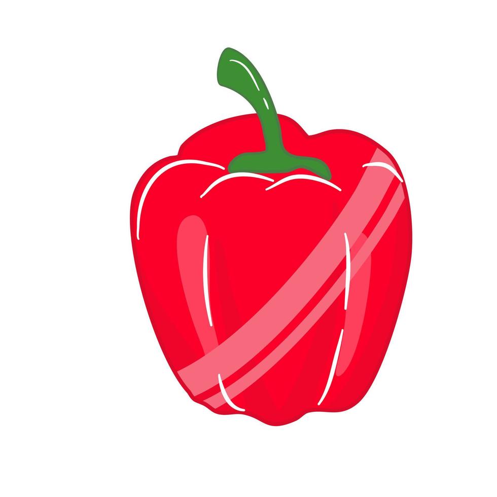 Fresh vegetable red paprika vector