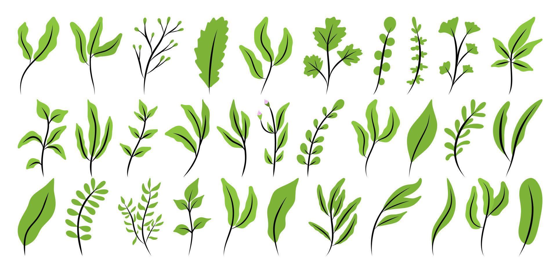 Vector set of branches, foliage and grass