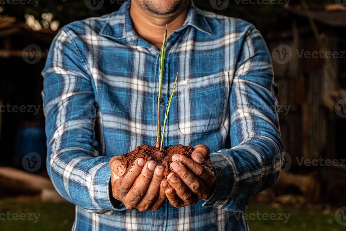 Young farmer man hands holding a green young plant. Symbol of spring and ecology concept photo