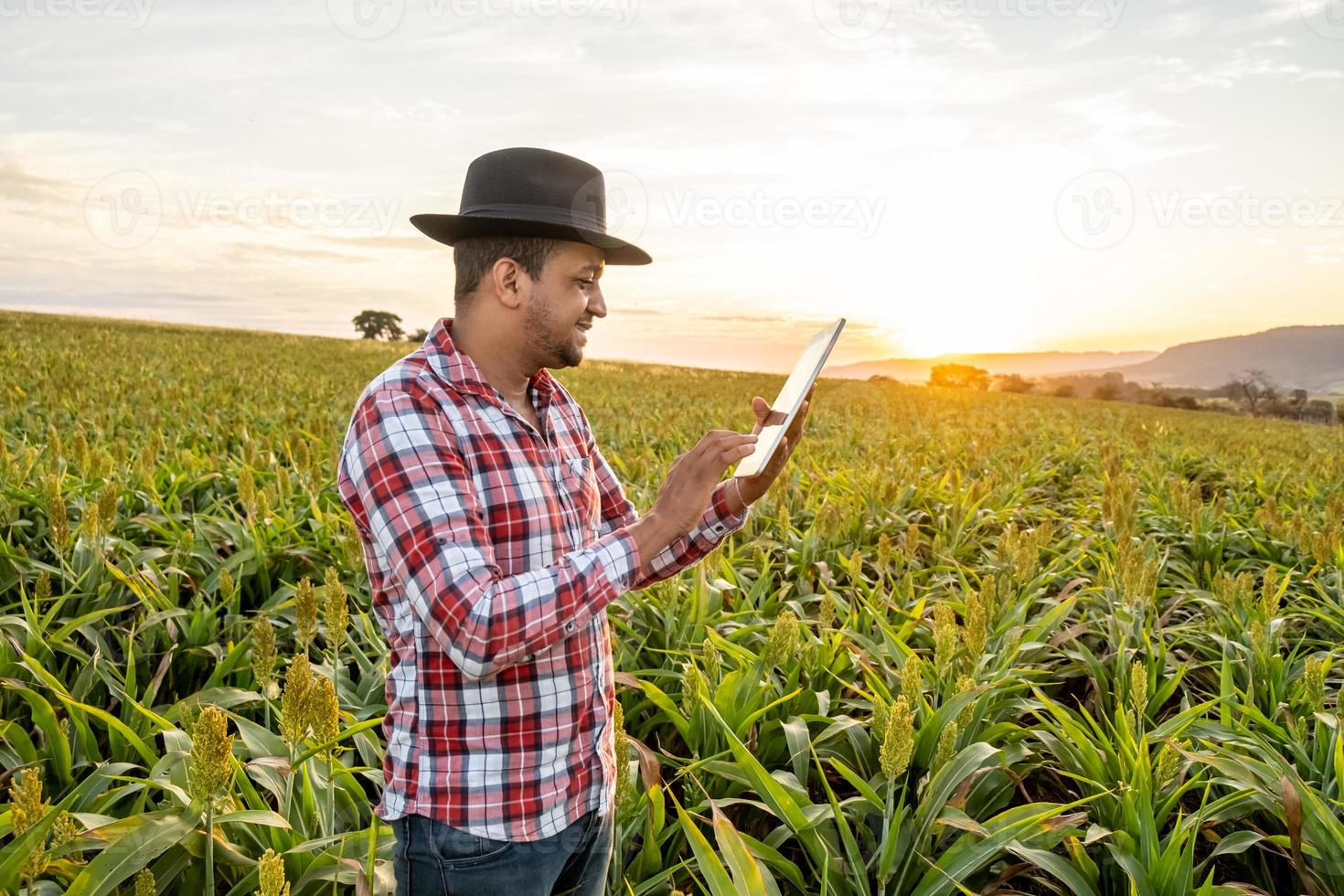 Agronomist holds tablet touch pad computer in the corn field and examining crops before harvesting. Agribusiness concept. Brazilian farm. photo