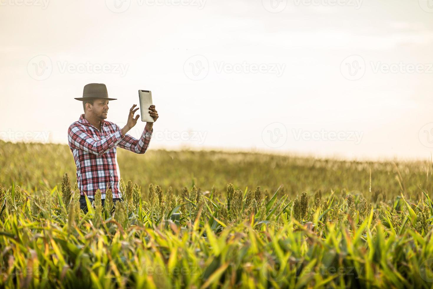 Agronomist holds tablet touch pad computer in the corn field and examining crops before harvesting. Agribusiness concept. Brazilian farm. photo