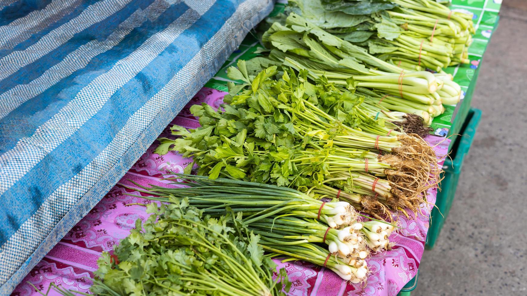 Onions, cilantro and other vegetables are tied together. photo