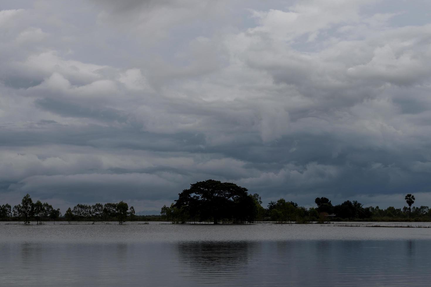 Clouds over the flooded paddy fields. photo