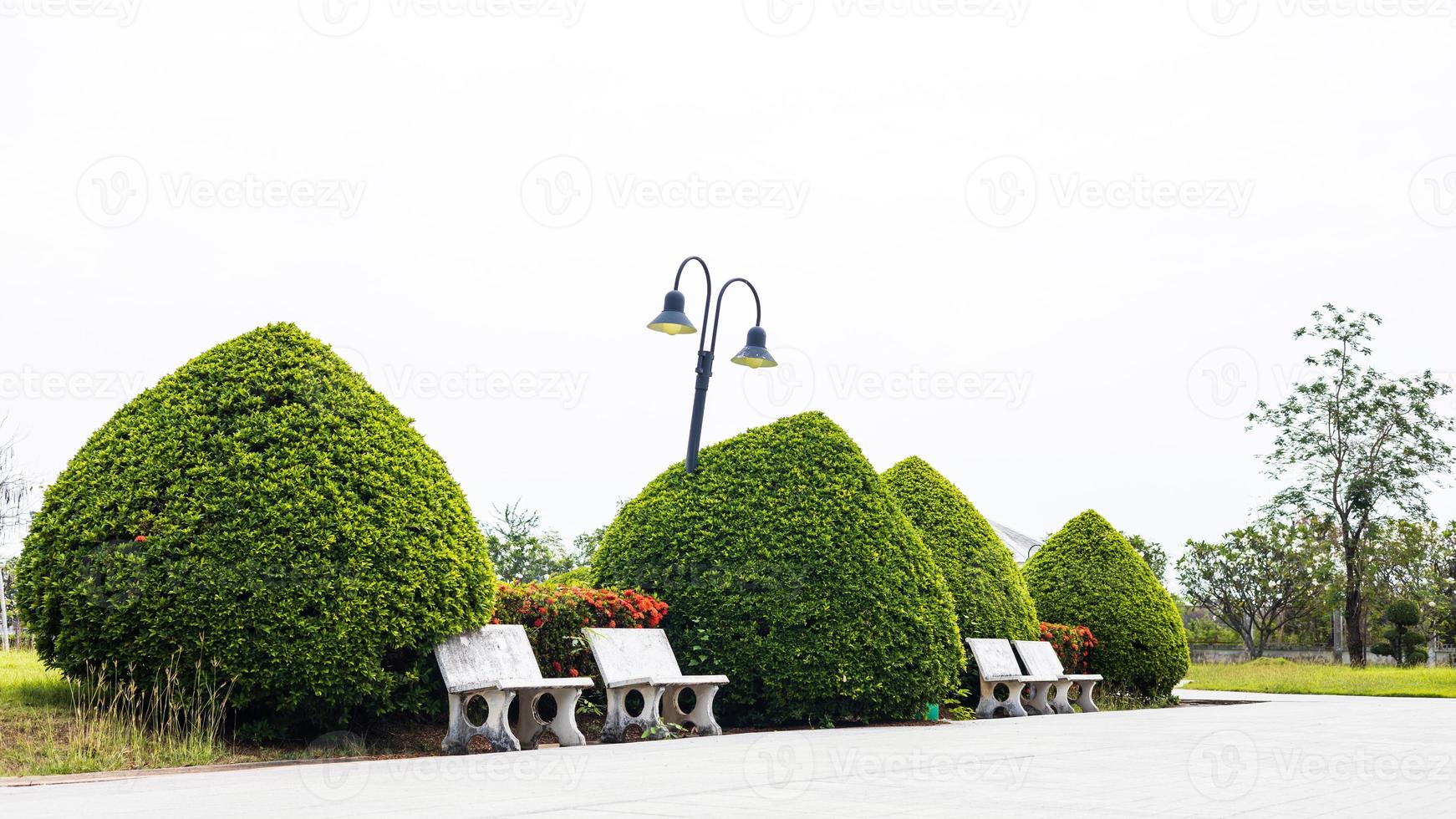 una vista de ángulo bajo, bonsai, árboles esféricos y arbustos de hojas verdes bellamente podados. foto