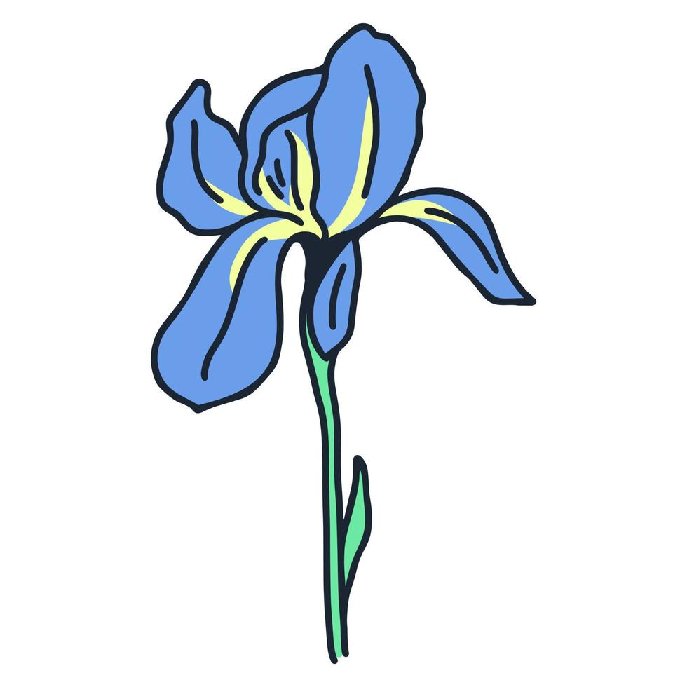 Iris single beautiful rustic flower vector illustration 7550855 Vector ...