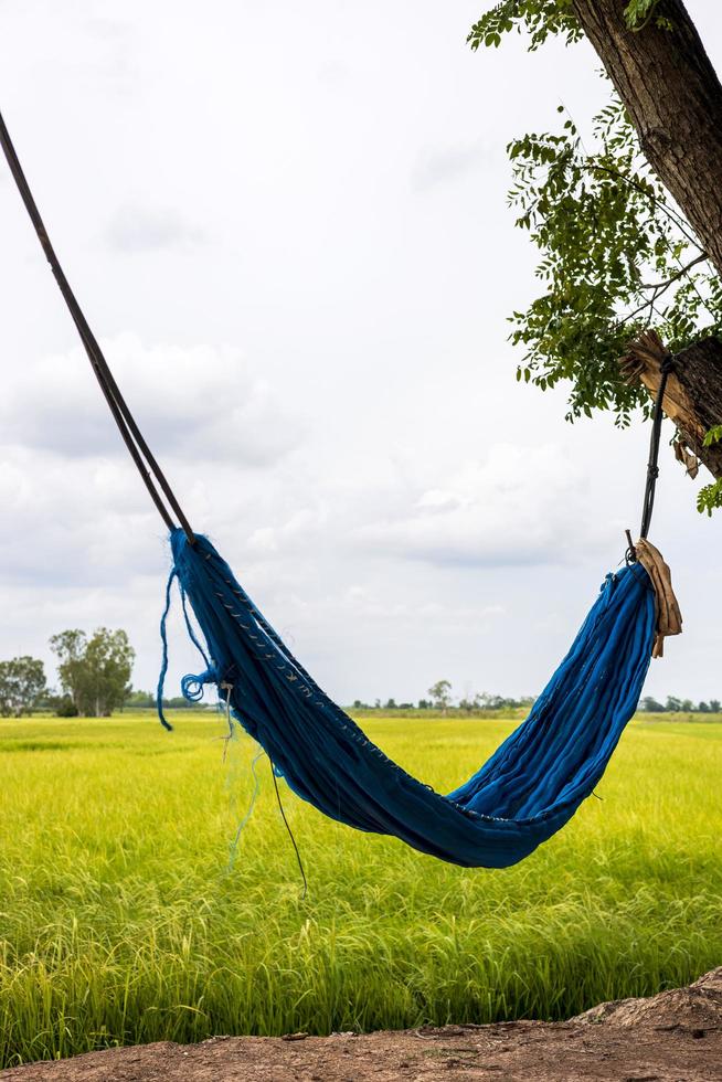 Hammock, nylon netting, blue blinds and green rice fields. photo