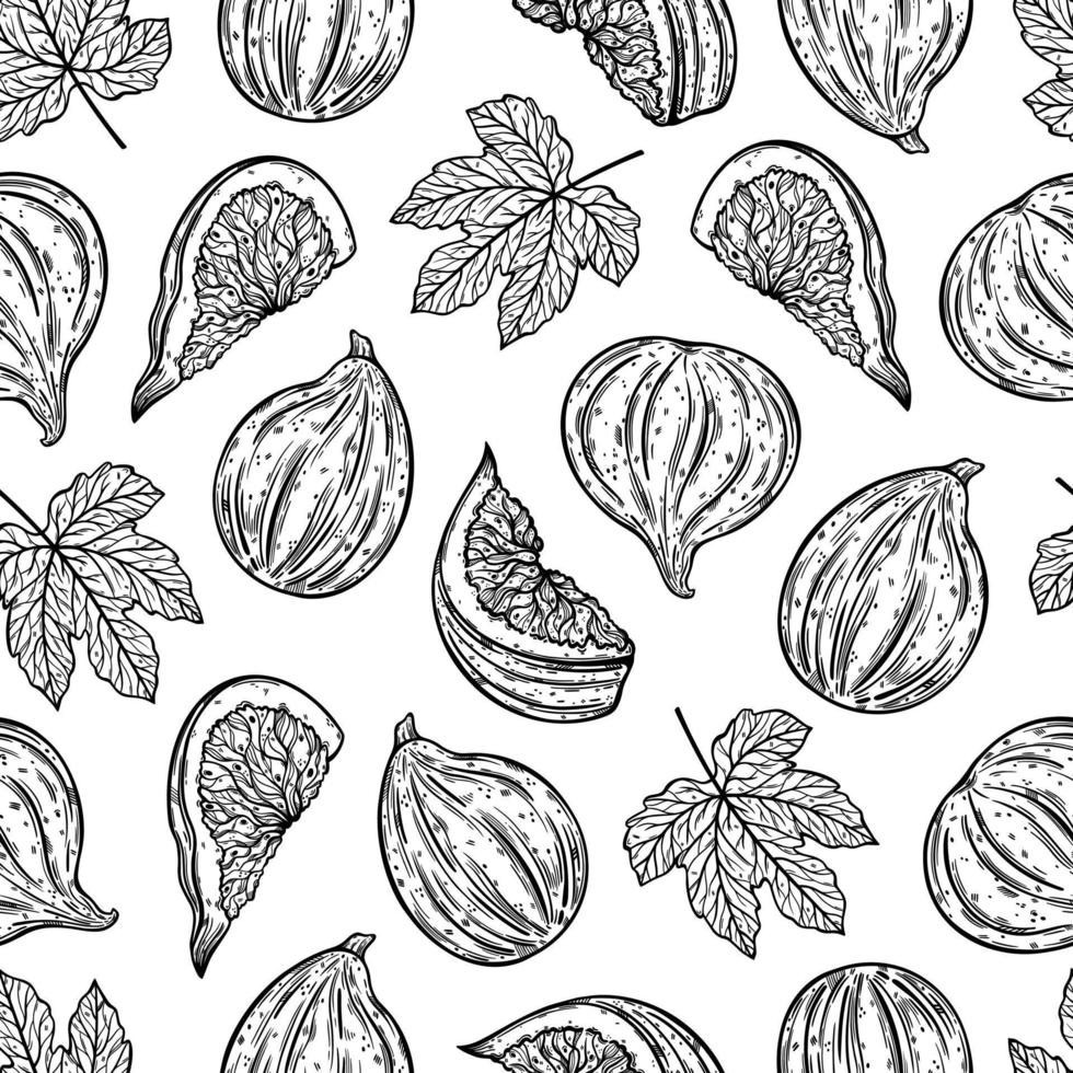 Figs seamless vector pattern. Ripe fruits whole, half, slice, garden tree leaves. Sketch of dessert with juicy pulp, seeds. Monochrome outline of vegetarian plant. Hand drawn background