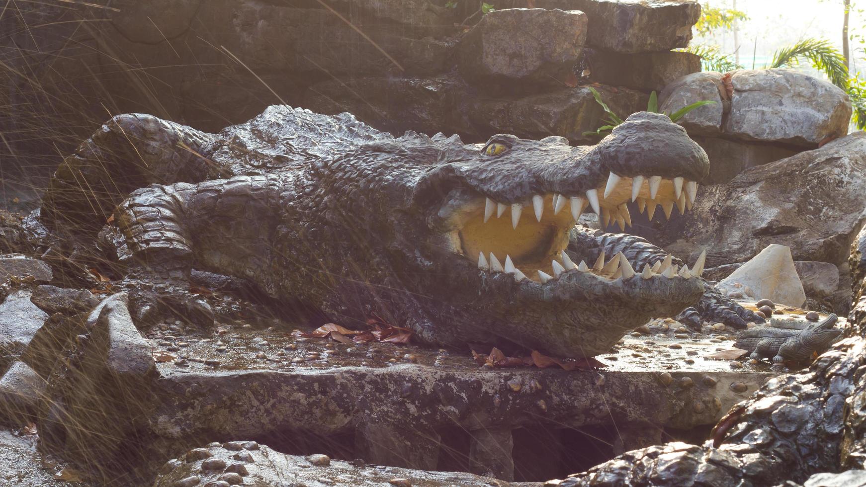 Black crocodile stone statue photo