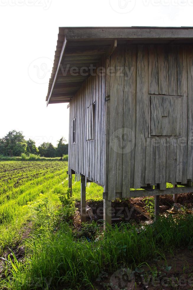 Close beside an old wooden house. photo