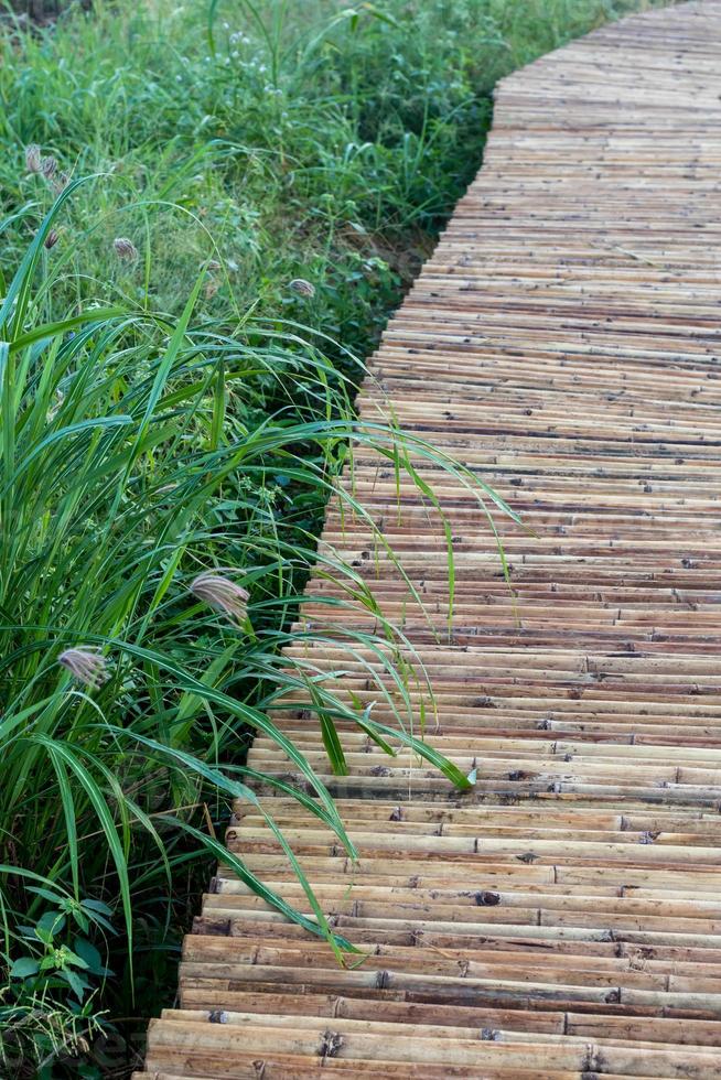 Close up of bamboo bridge with weed grass. photo