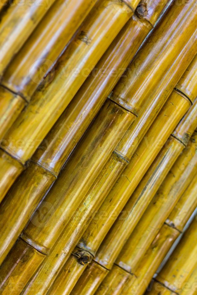 Close up bamboo wall background. photo