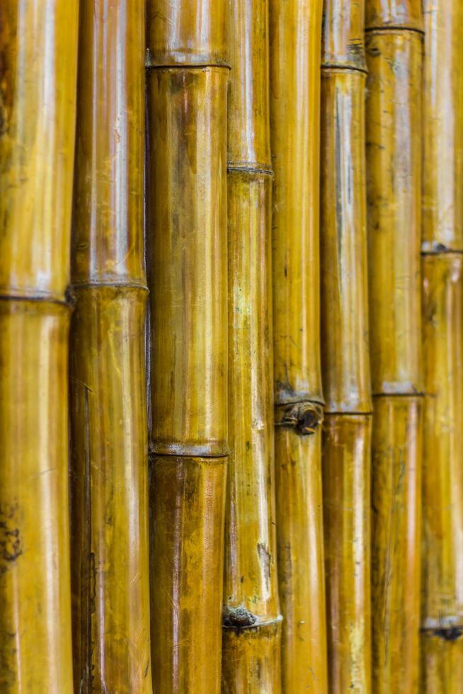 Close up bamboo wall. photo