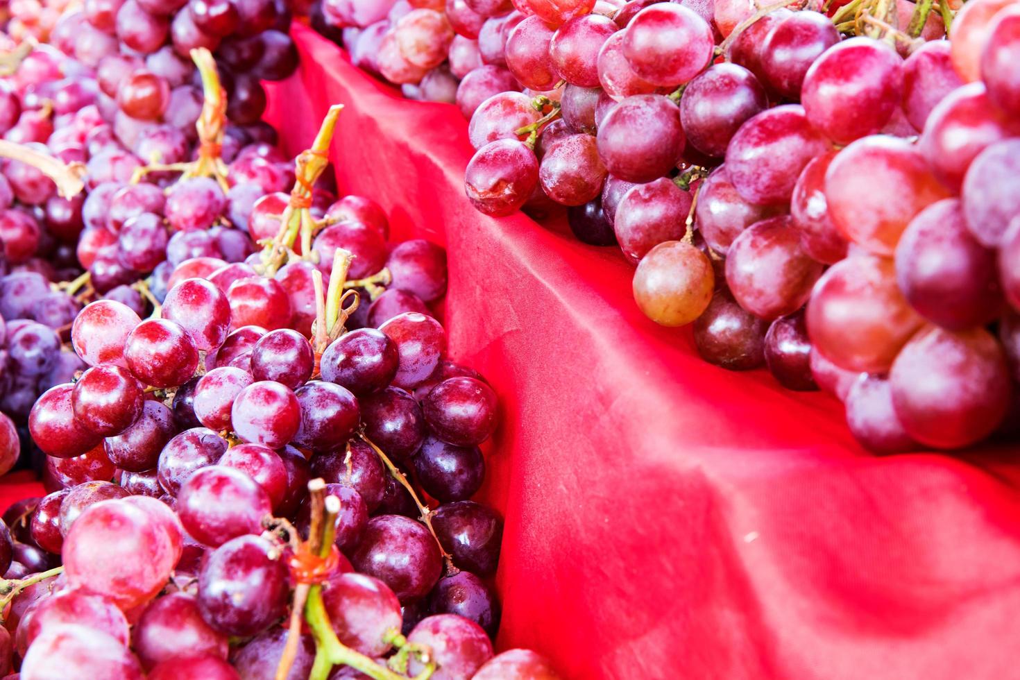 uvas moradas sobre un paño rojo. foto