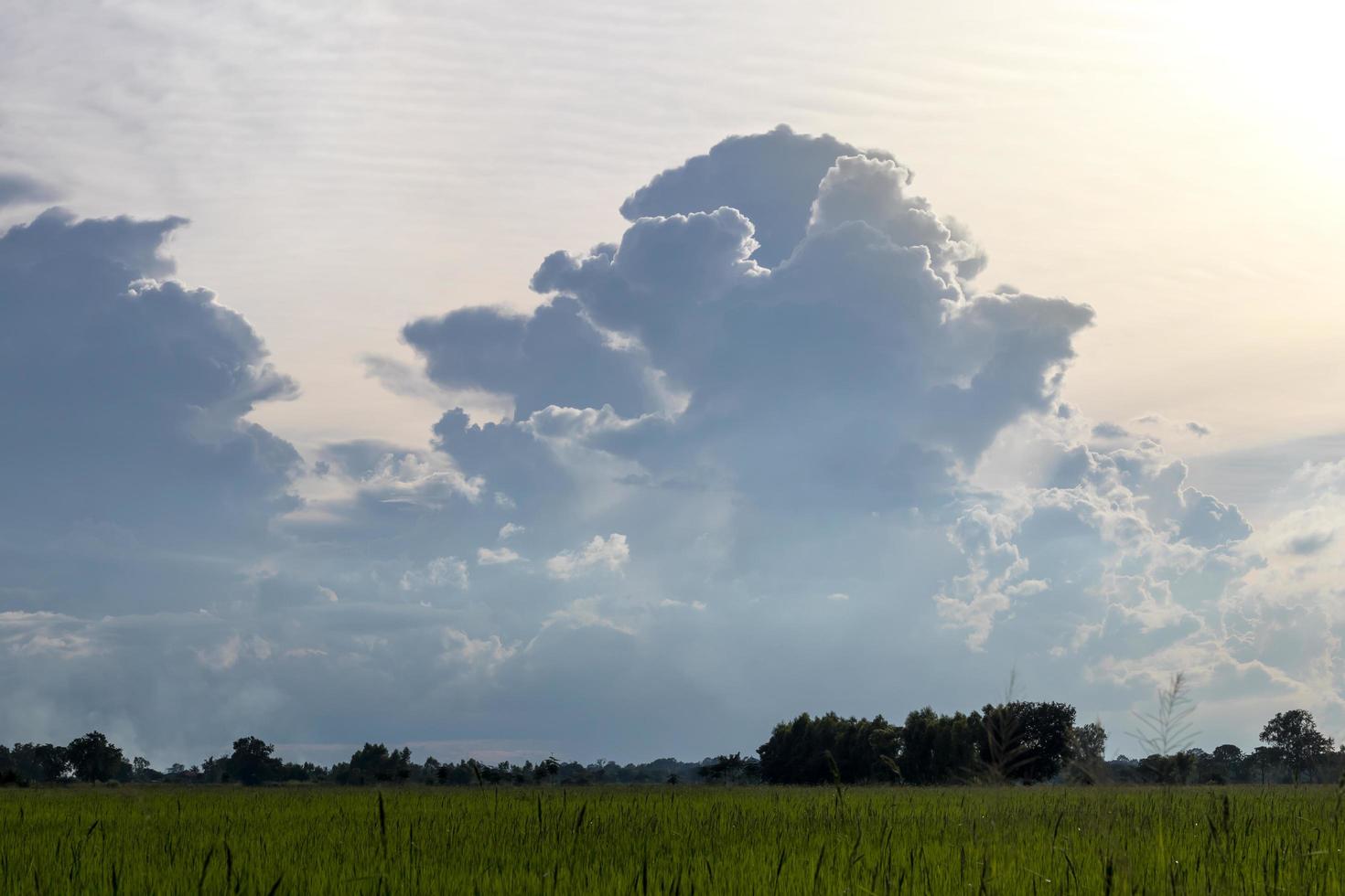 nubes sobre el cielo de la tarde sobre los arrozales. foto