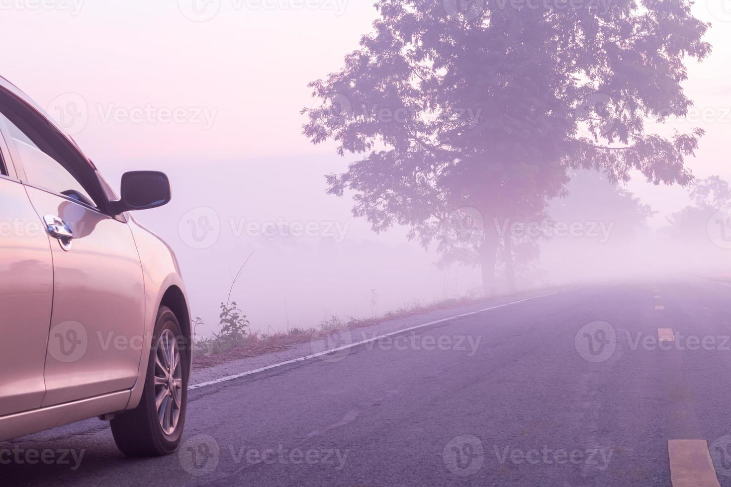 coche aparcado en la carretera con árboles en la niebla. foto