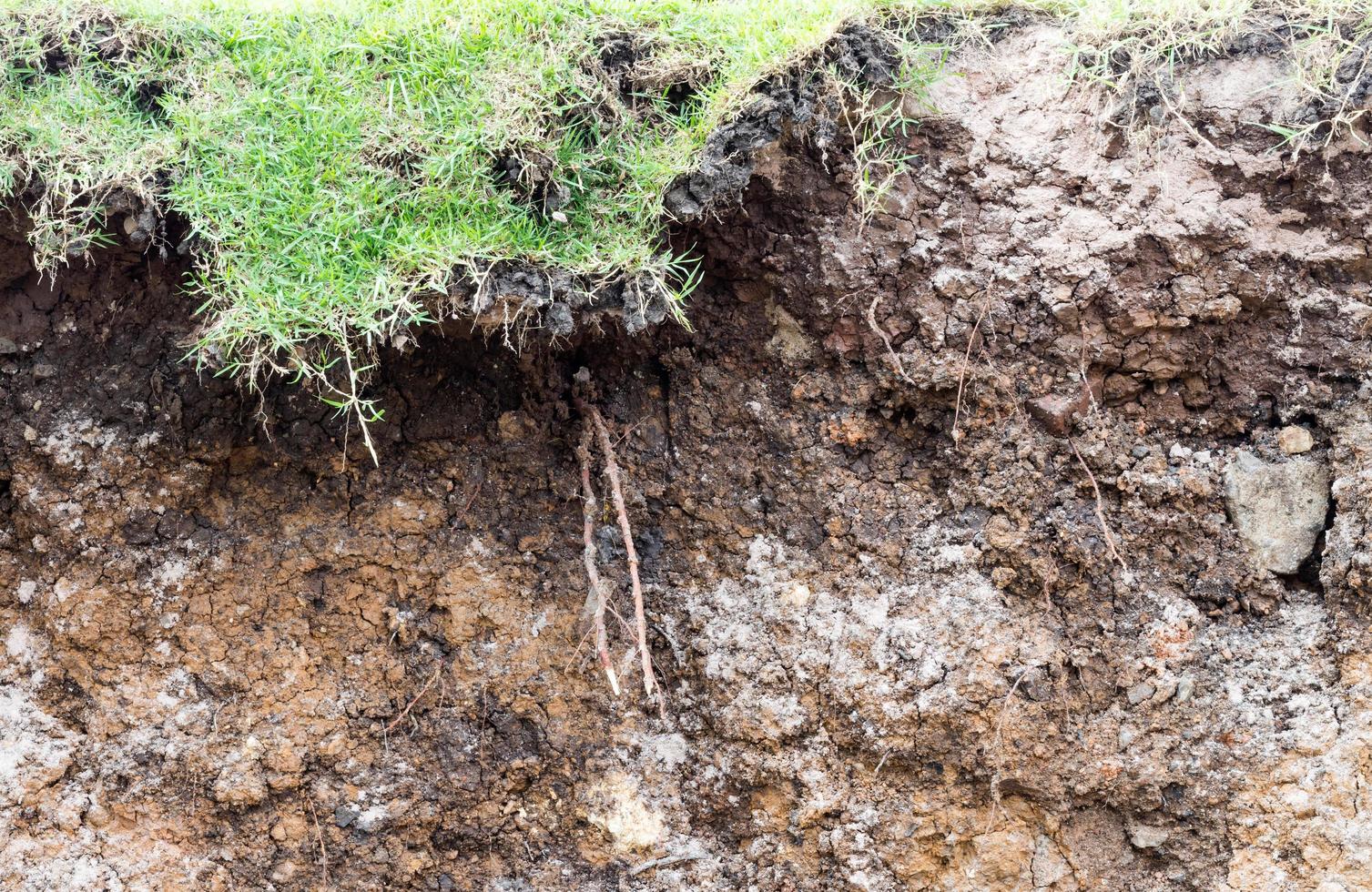 Soil layer erodes water erosion. photo