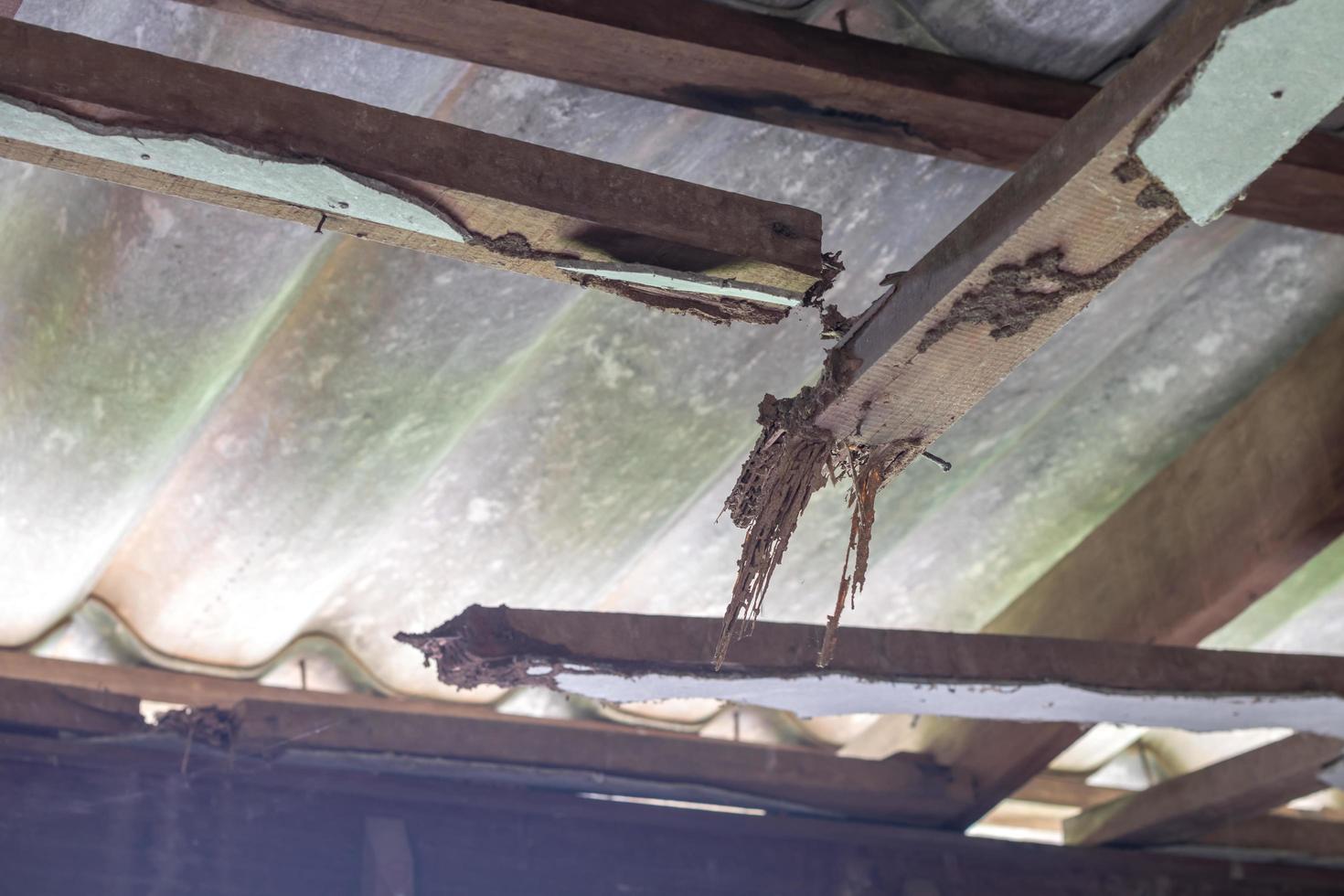 Old wooden beam eroded under the ceiling. photo