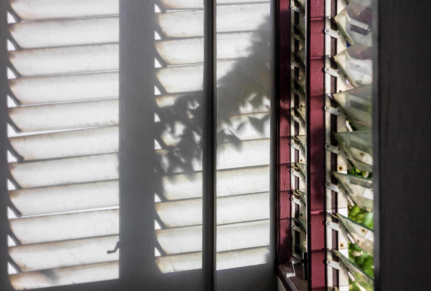 Close-up view of spooky leaf shadows with lights shining through a glass louvered window. photo
