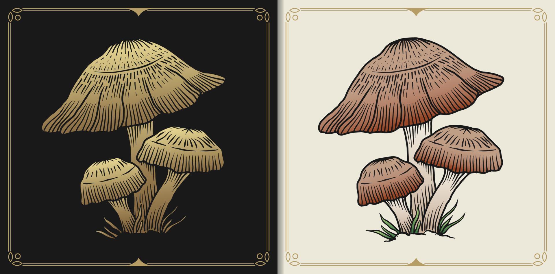 Mushroom with engraving, hand drawn, luxury, celestial, esoteric, boho style, fit for spiritualist, religious, paranormal, tarot reader, astrologer or tattoo vector