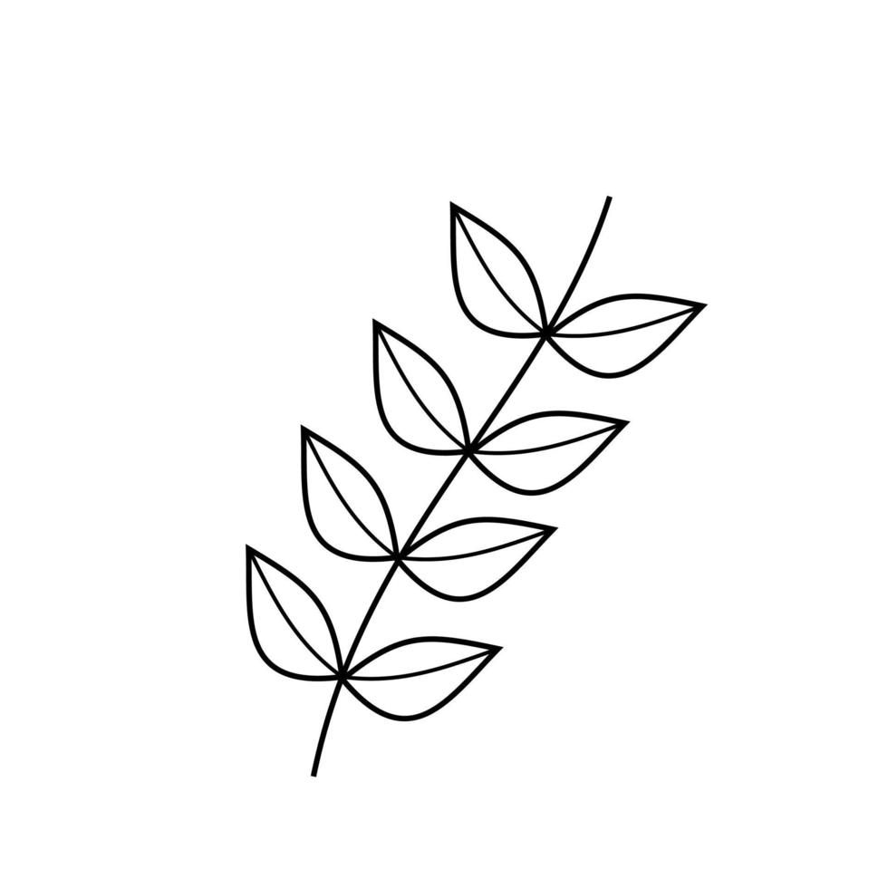Leaves Line Art vector