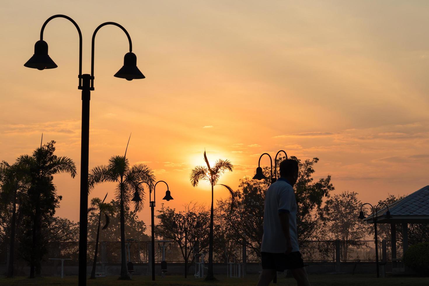 Silhouette Palm Garden Lamp with Walking. photo