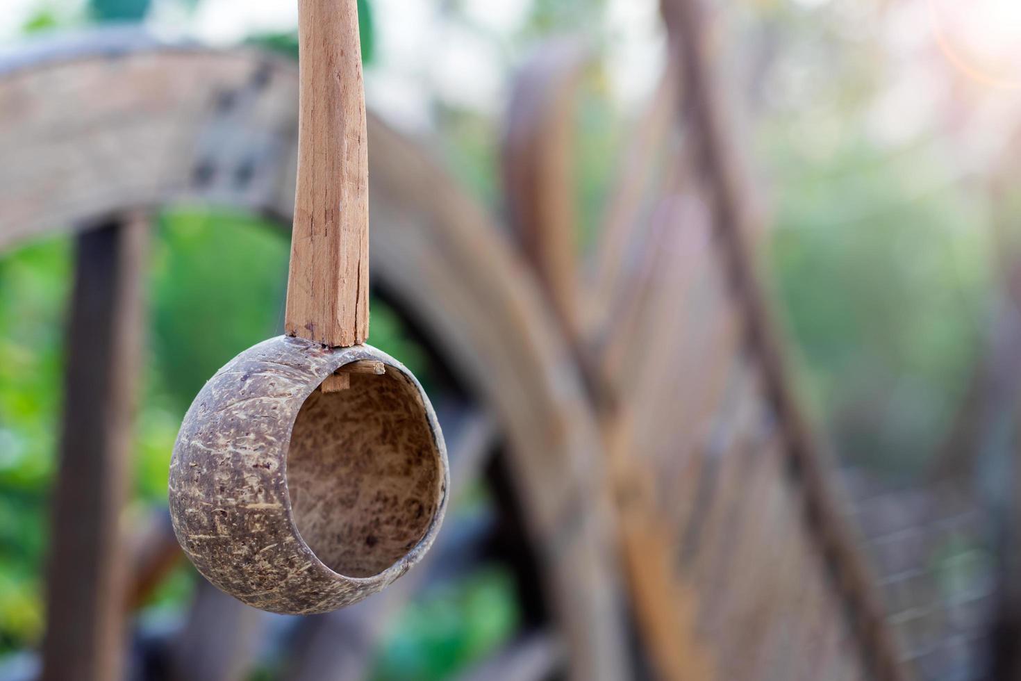 Coconut shell dipper hanging. photo