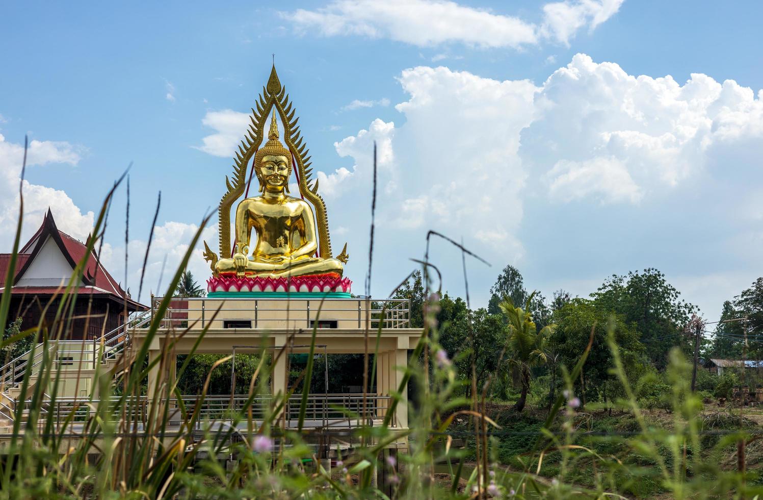 The view looks through the grass to the beautiful golden Buddha image enshrined on the roof pedestal. photo
