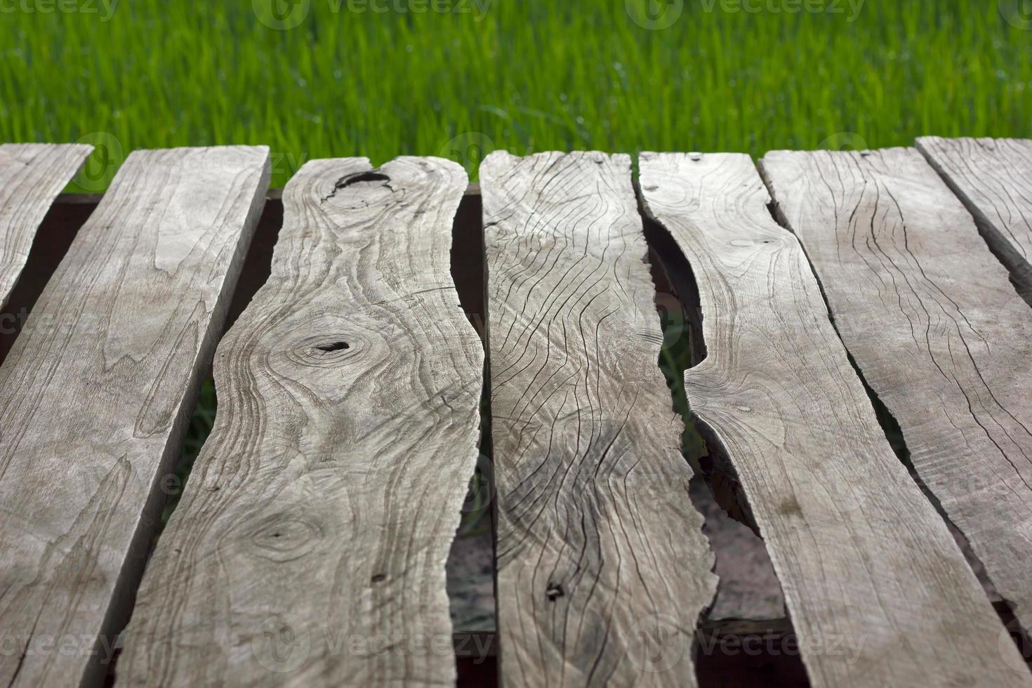 Old Plank green rice fields. photo