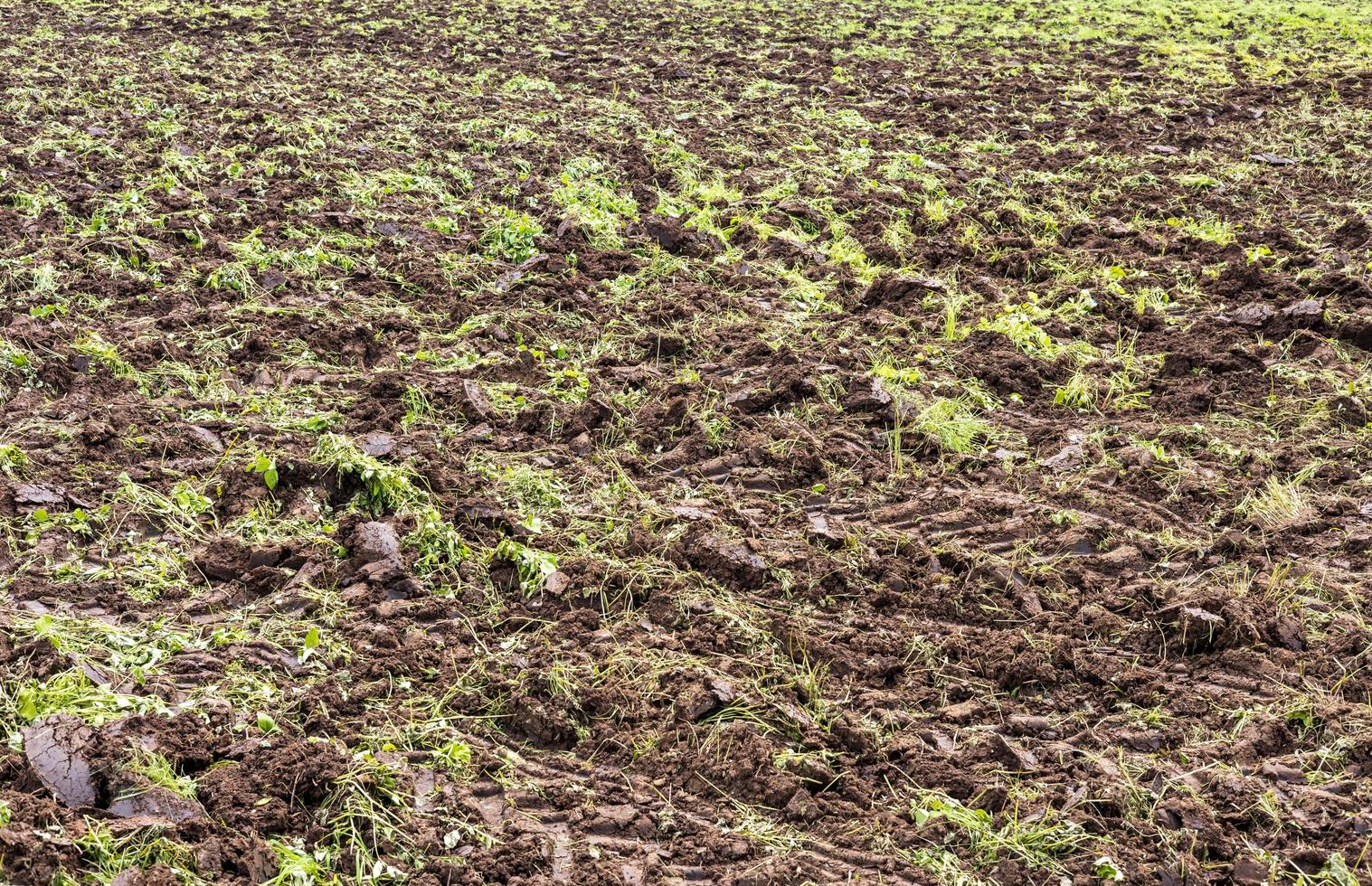 el fondo del suelo y la hierba en el campo que fue arado. foto