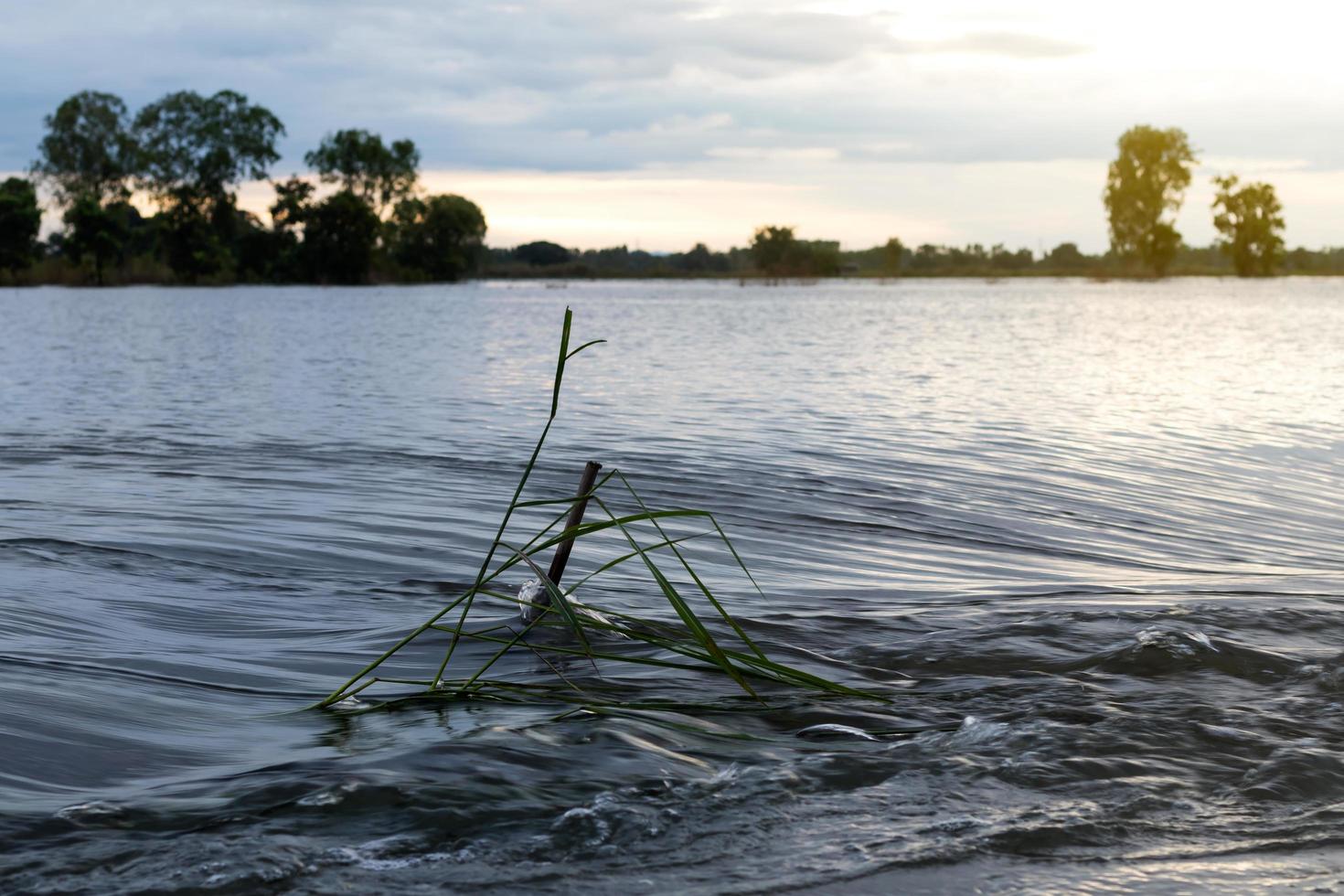 agua que fluye a través de la hierba. foto