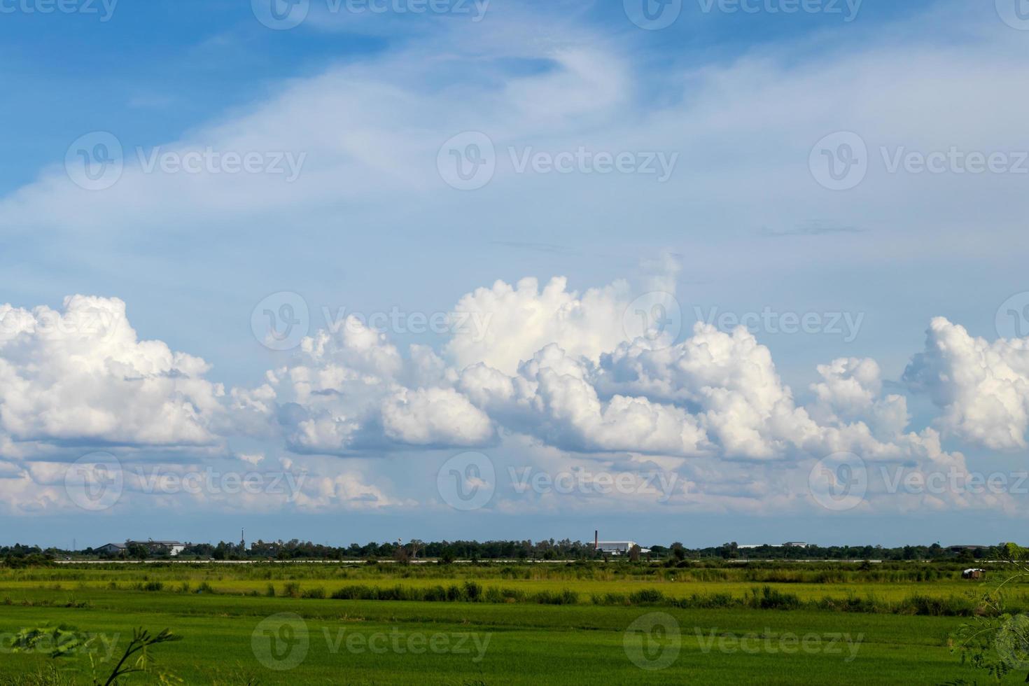 cielo nublado con campos de arroz. foto