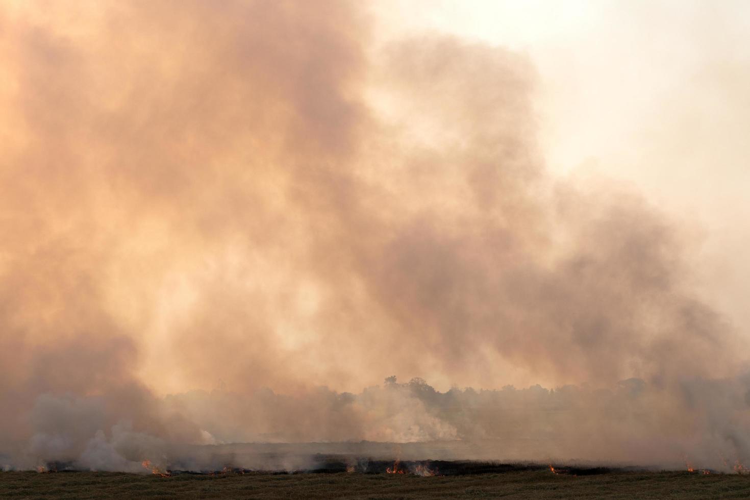 A lot of smoke from burning stubble rice straw. photo