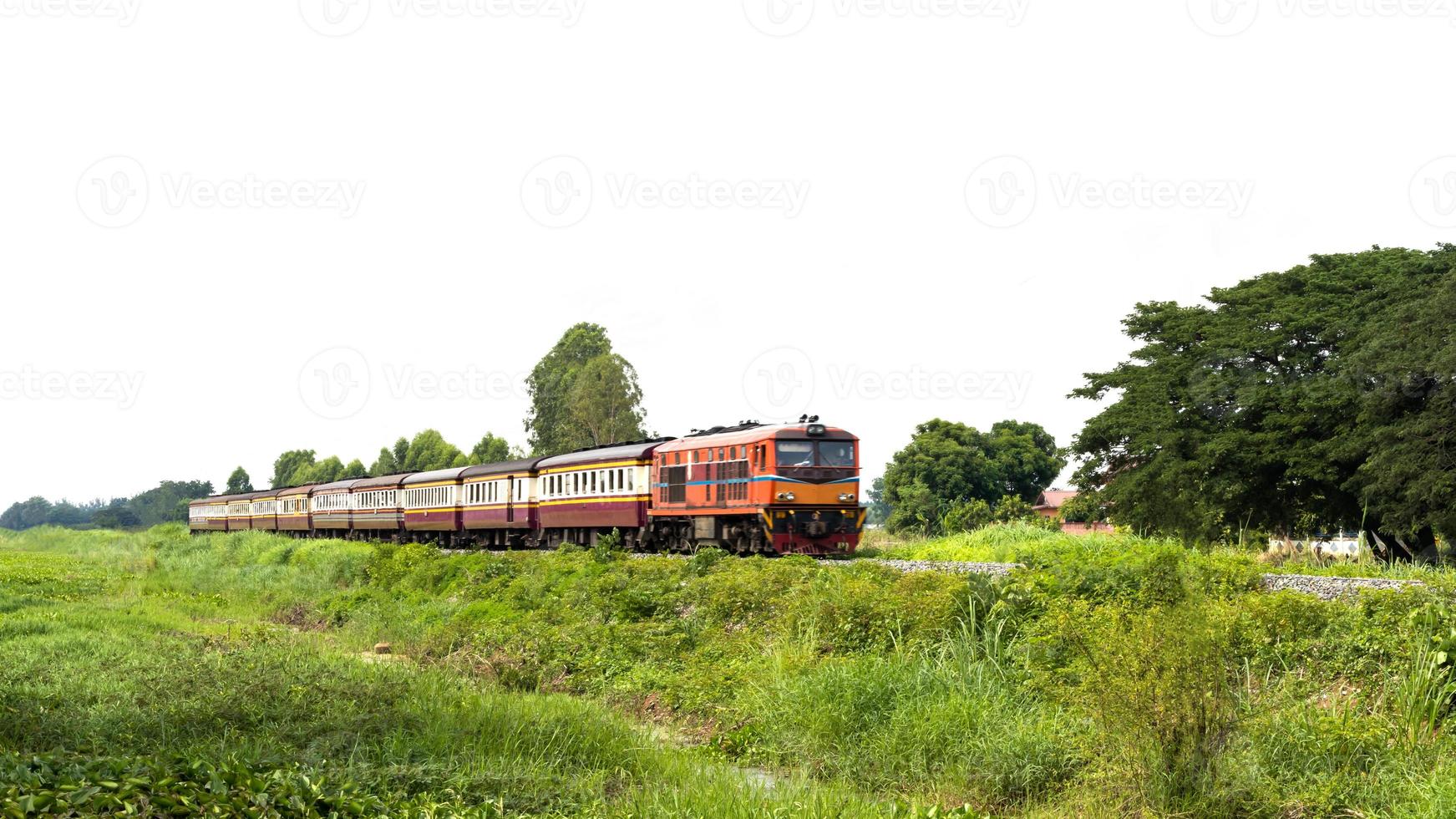 tren cruzando el campo tailandés. foto