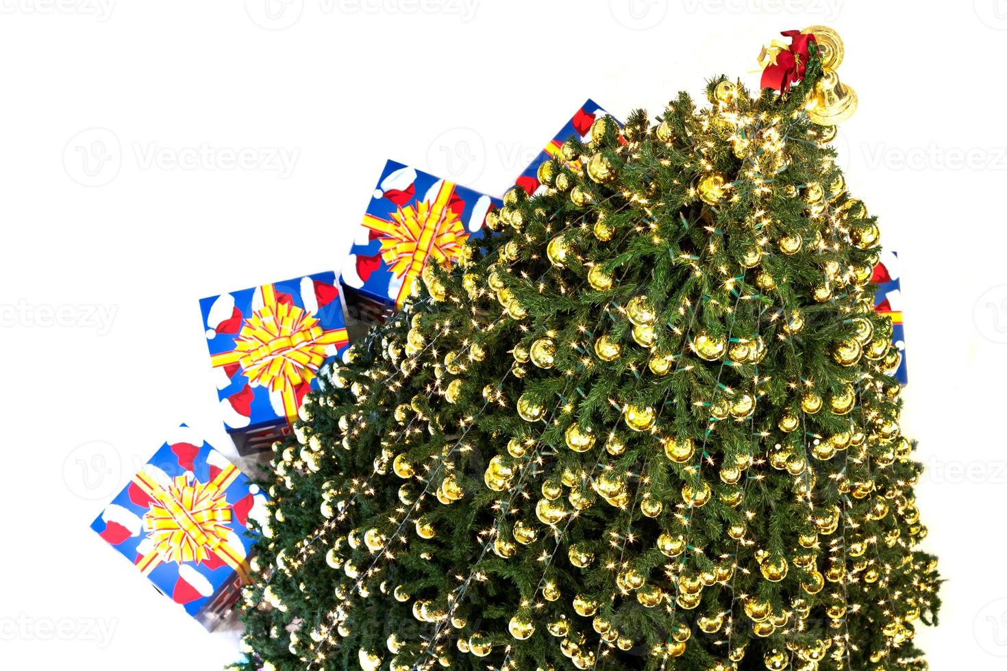 Isolate view from above Christmas tree. photo