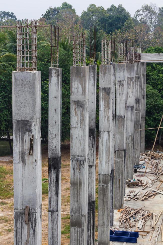 Reinforced concrete pillars Forest. photo