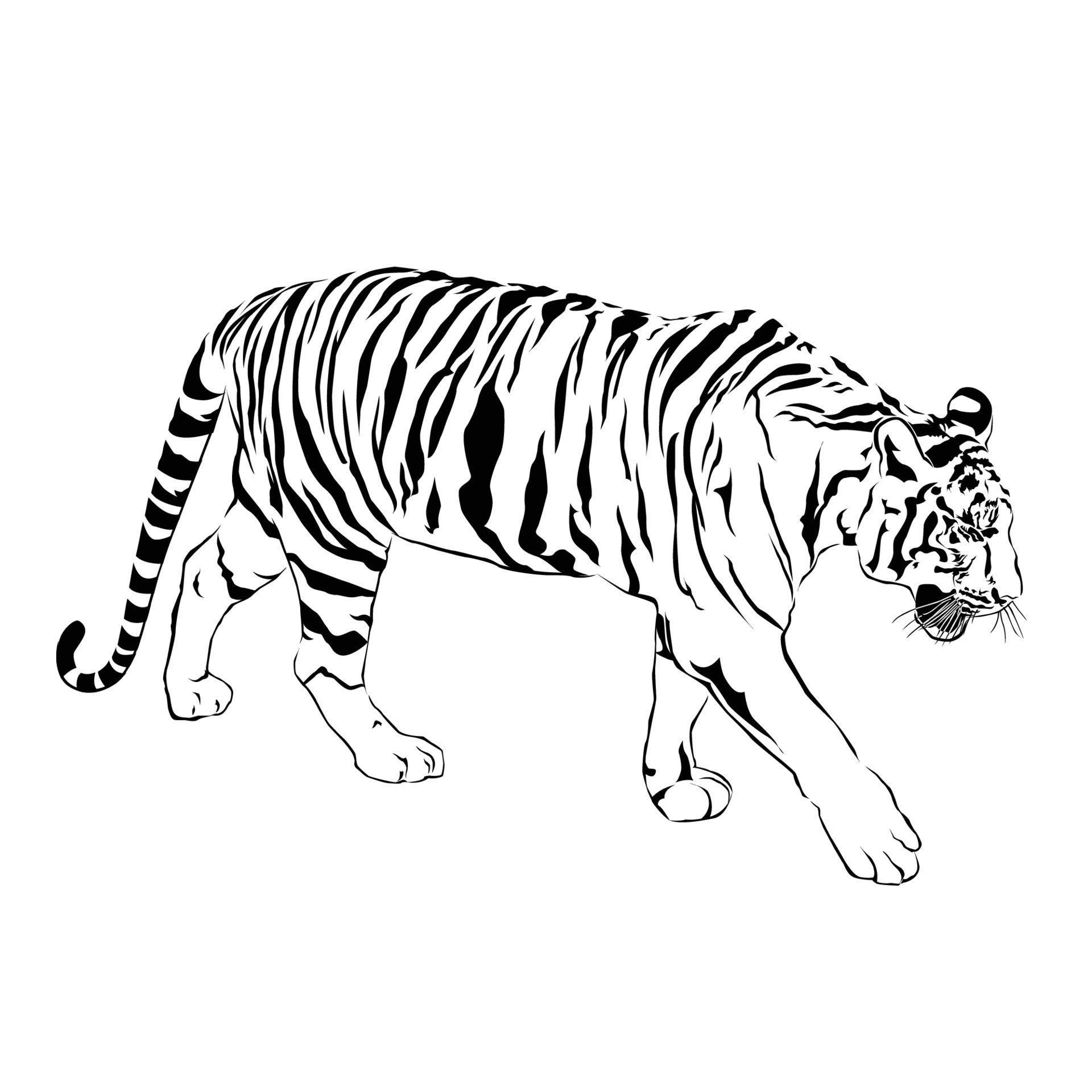 Tiger walking stride. Victor 7556989 Vector Art at Vecteezy