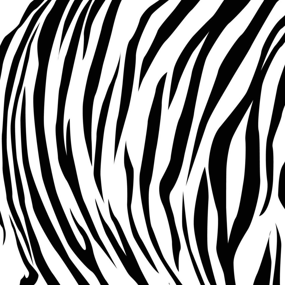 Animal skin black and white tiger. vector Eps 10