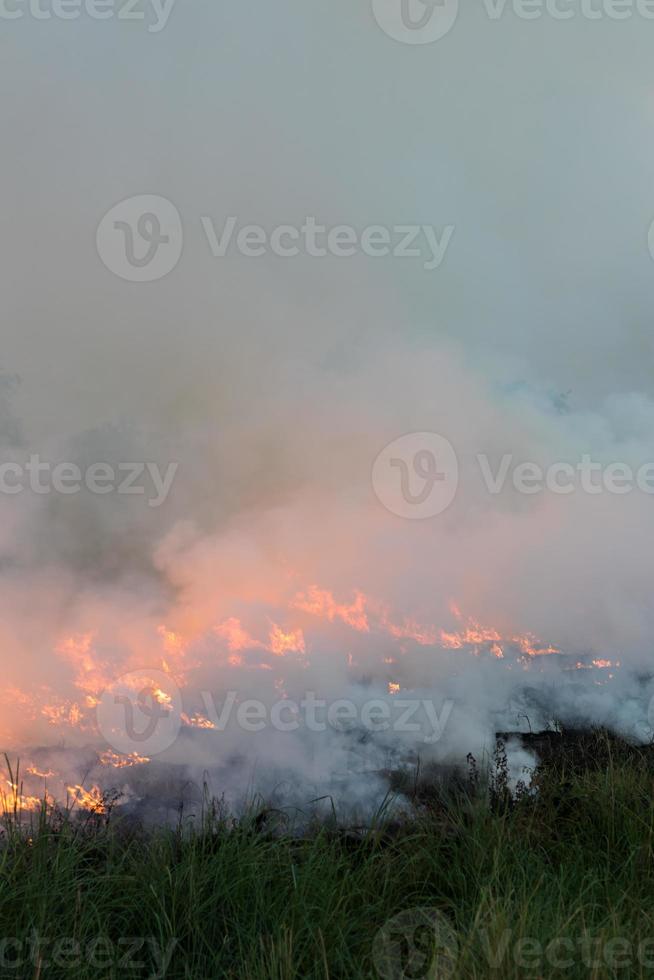 Flames burned grass. photo