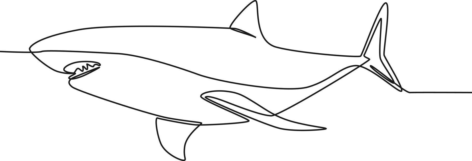 Continuous one line drawing Shark on white. international ocean day. Single line draw design vector graphic illustration.