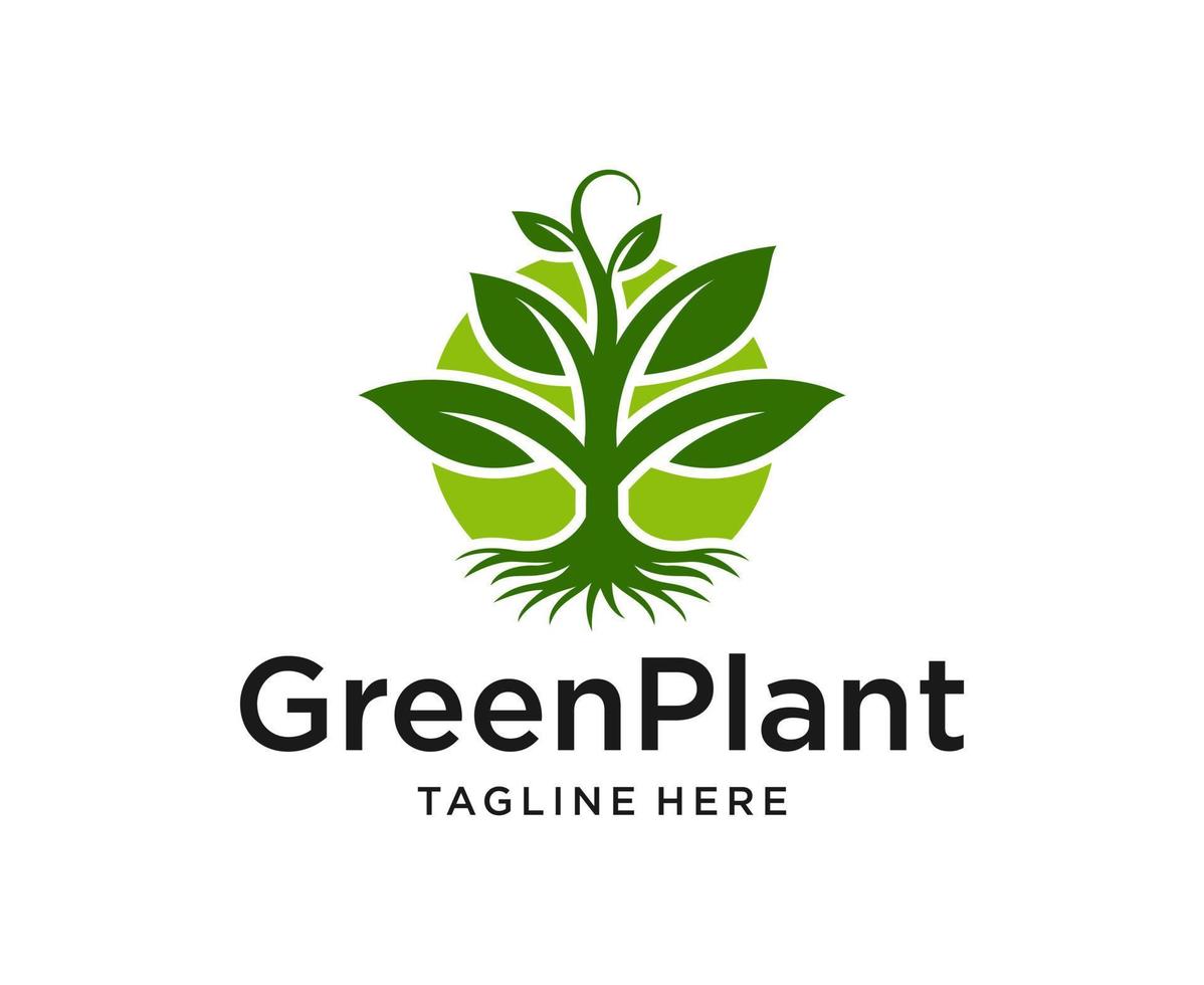 green plant logo design vector template